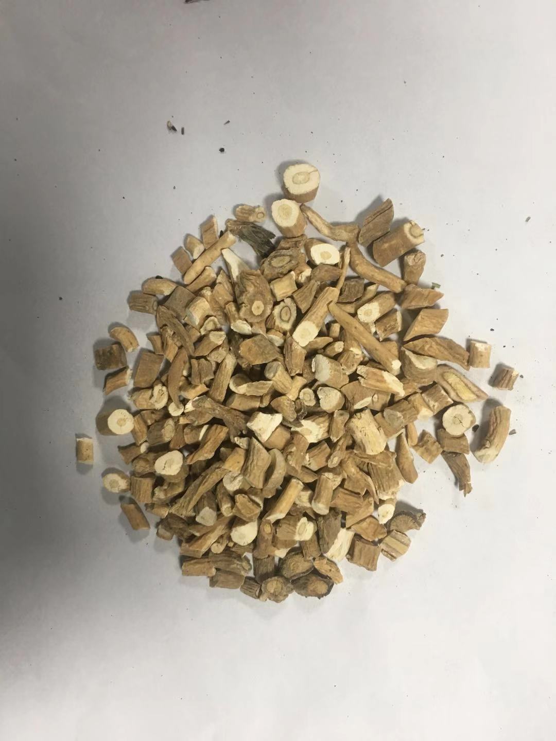 板蓝根 ISATIDIS RADIX