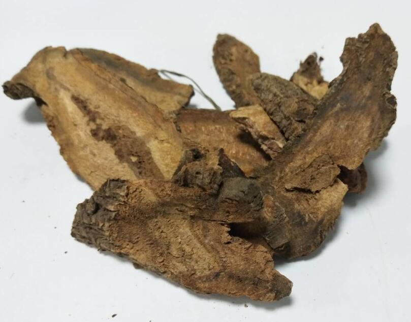 大黄（唐古特大黄） RHEI RADIX ET RHIZOMA