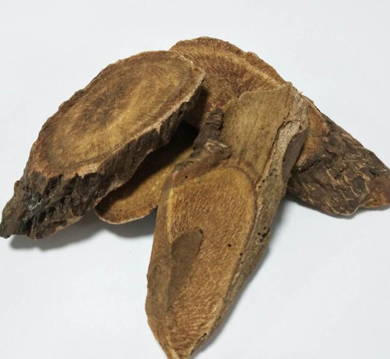 大黄（药用大黄） RHEI RADIX ET RHIZOMA