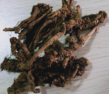 黄连 COPTIDIS RHIZOMA