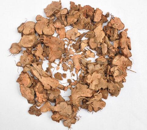 金荞麦 FAGOPYRI DIBOTRYIS RHIZOMA