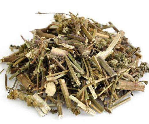 荆芥 SCHIZONEPETAE HERBA
