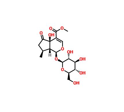 戟叶马鞭草苷|50816-24-5