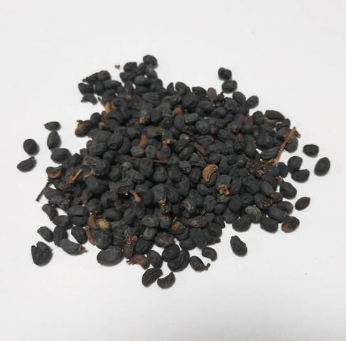 女贞子 LIGUSTRI LUCIDI FRUCTUS