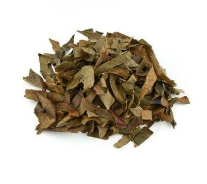 枇杷叶 ERIOBOTRYAE FOLIUM