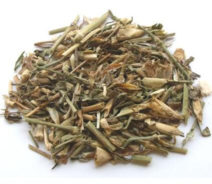 瞿麦 Dianthus superbus