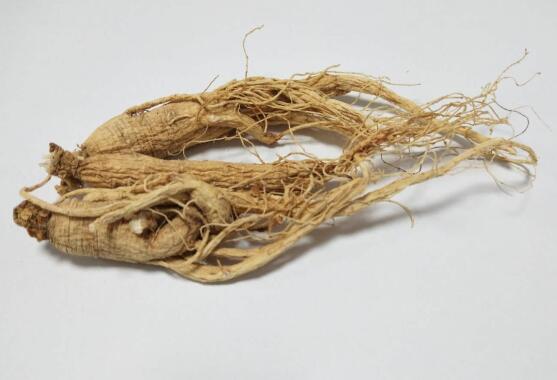 人参 GINSENG RADIX ET RHIZOMA