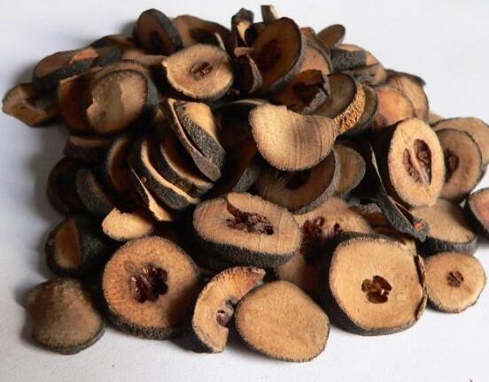 枳实(酸橙) AURANTII FRUCTUS IMMATURUS