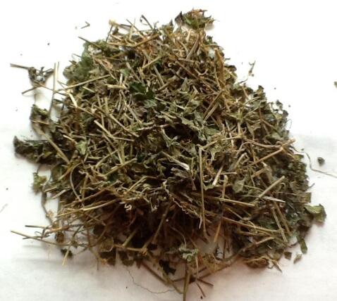 绞股蓝 GYNOSTEMMAE HERBA