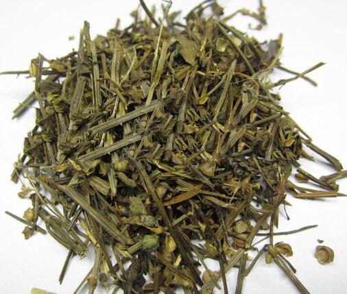 半枝莲 SCUTELLARIAE BARBATAE HERBA