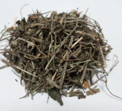 马鞭草 VERBENAE HERBA