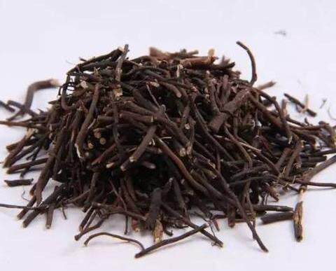 威灵仙 Clematidis Radix Et Rhizoma