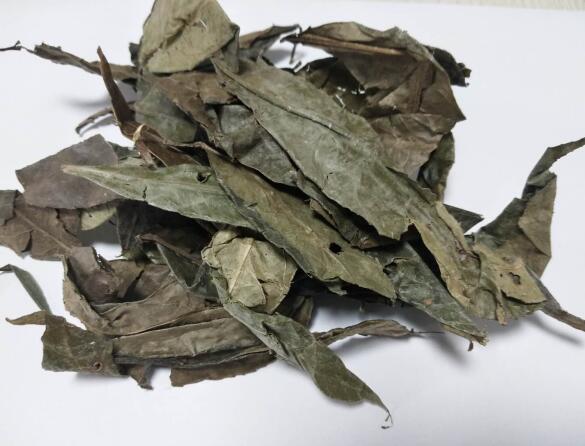 山香圆叶 TURPINIAE FOLIUM