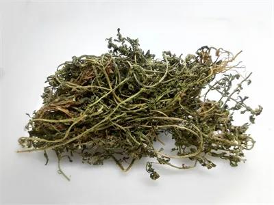 普菲德专题产品推荐-鹅不食草系列