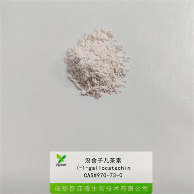 没食子儿茶素|970-73-0