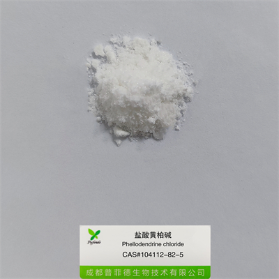 盐酸黄柏碱|104112-82-5