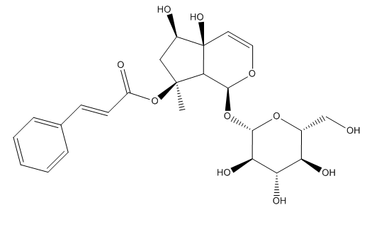 普菲德专题产品推荐-玄参系列