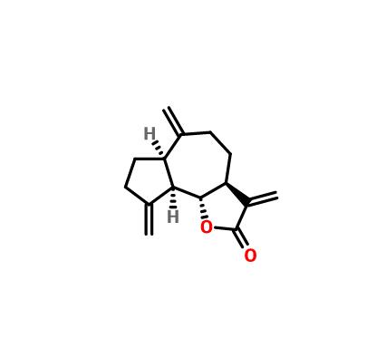 去氢木香内酯 74299-48-2 Dehydrocostus lactone