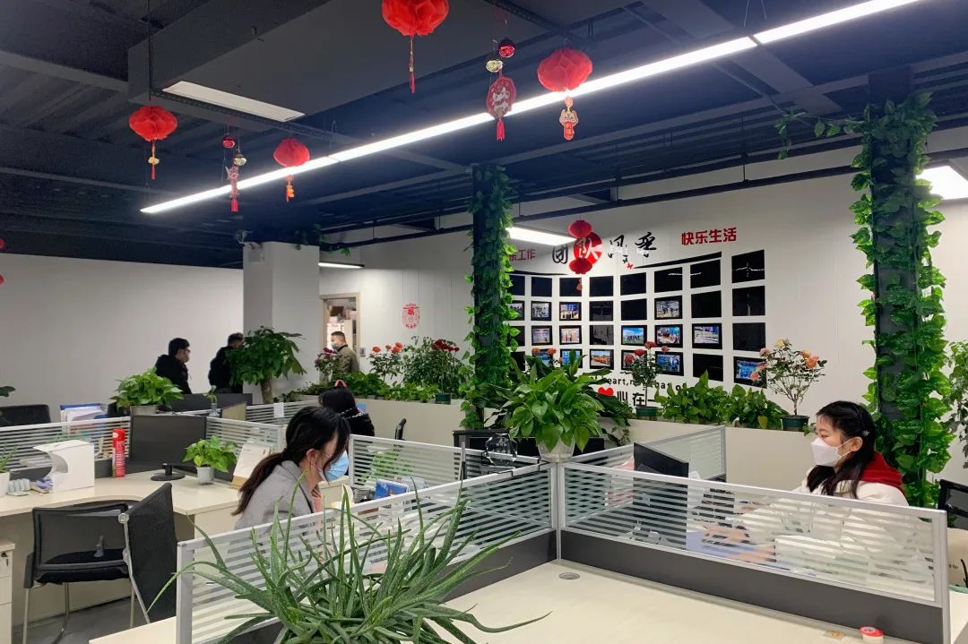 新年新气象下的普菲德！