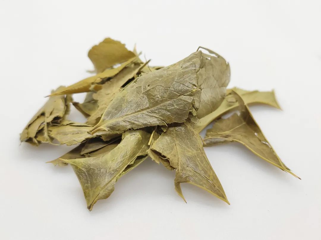普菲德专题产品推荐-枸骨叶系列