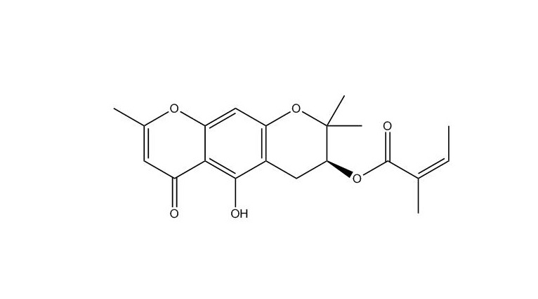 3'-O-当归?；ッ┓觸84272-84-4