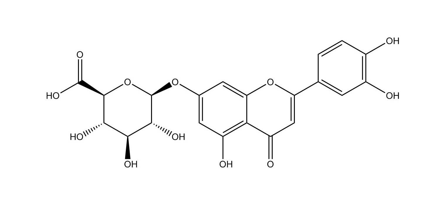 木犀草素-7-葡萄糖醛酸苷|29741-10-4